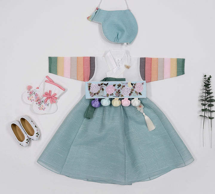 Korean Traditioanl Baby Girl Hanbok Clothing 100th Birth 1 Age Dol Party Celebration pastel Blue Saekdong