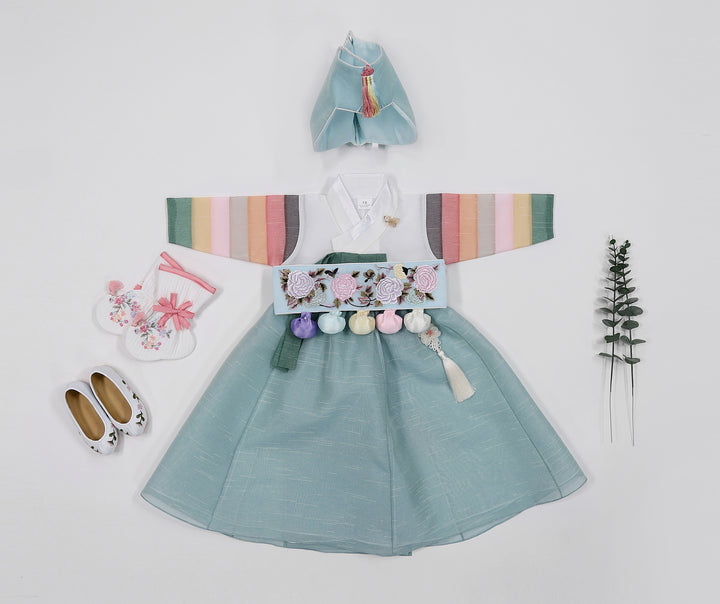 Korean Traditioanl Baby Girl Hanbok Clothing 100th Birth 1 Age Dol Party Celebration pastel Blue Saekdong