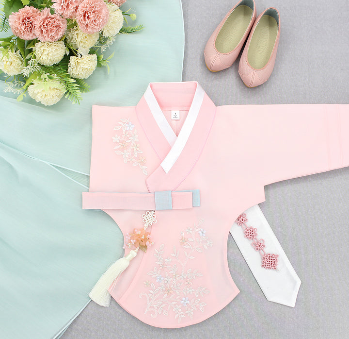 Hanbok Girl Baby Korea Traditional Clothing Set First Birthday Celebration Party Celebration 1–8 years Pink Mint Embroidery DGH107