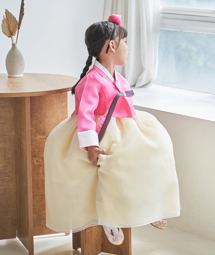 Hanbok Girl Baby Korea Traditional Clothing Set First Birthday Celebration Party 100th Birth Celebration 1-10 years Pink Yellow