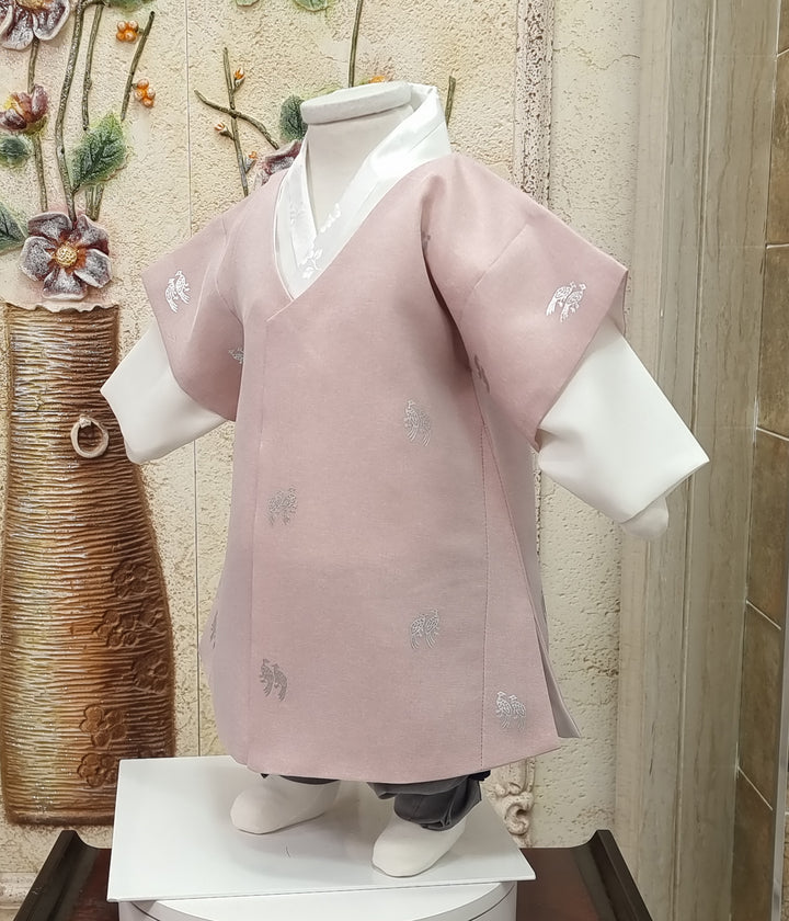 Korean Traditional Boy Baby Hanbok Dol Baikil Party Celebration 100th-10 Ages Pink Bird Silver Print HGB114