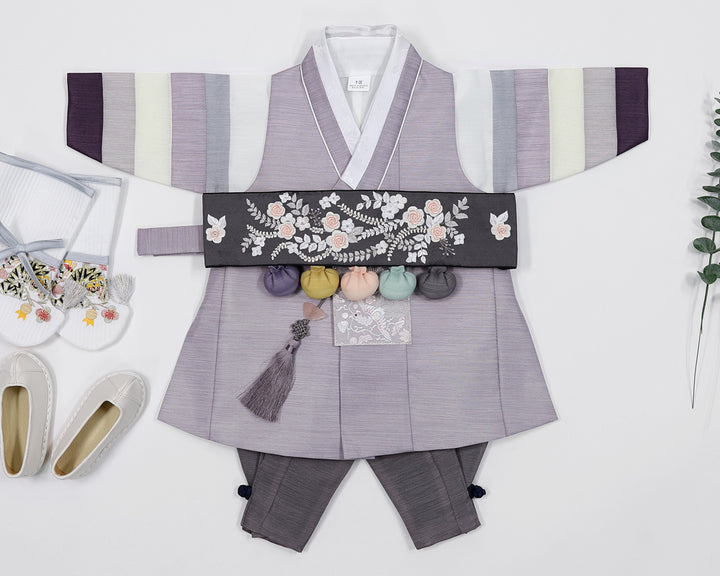 Korean Traditional Boy Baby Hanbok Dol Baikil Party Celebration 100th Days 1-10 Ages Violet Saekdong HGB108