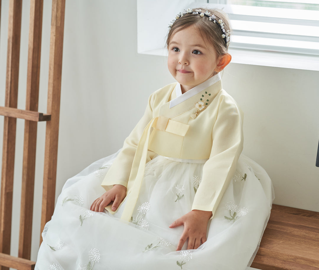 Hanbok Dress Girl Baby Korea Traditional Clothing Set First Birthday Celebration Party Celebration 100th Days Baikil Pastel Yellow 1–8 Years Dress OS107