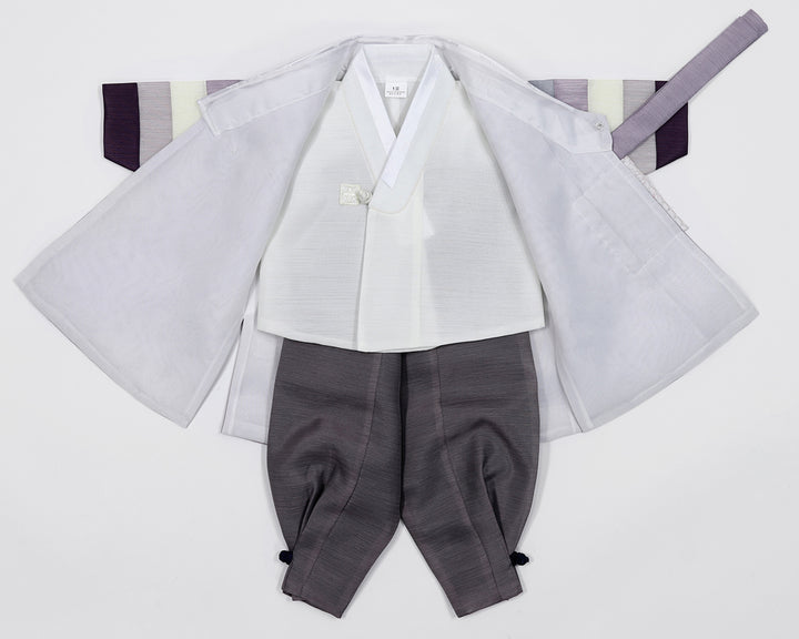 Korean Traditional Boy Baby Hanbok Dol Baikil Party Celebration 100th Days 1-10 Ages Violet Saekdong HGB108