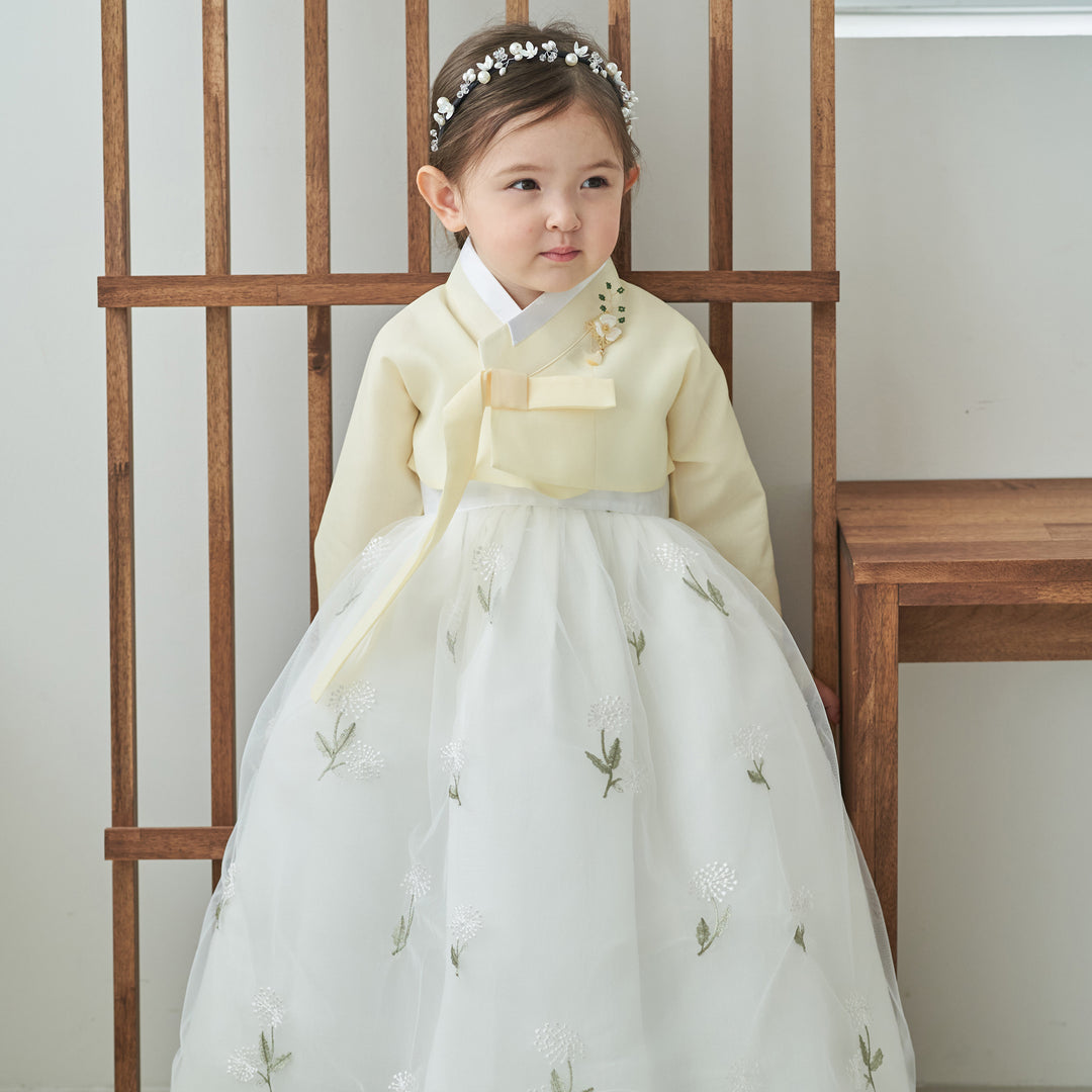 Hanbok Dress Girl Baby Korea Traditional Clothing Set First Birthday Celebration Party Celebration 100th Days Baikil Pastel Yellow 1–8 Years Dress OS107